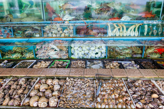 Seafood Market Fish Tanks in Sai Kung, Hong Kong
