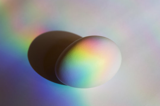 The dark side of the egg
