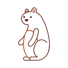 autumn season squirrel animal forest vector illustration