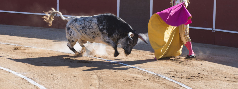 TORO Y TORERO BAILANDO