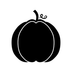 autumn seasonal pupmkin harvest nature vector illustration