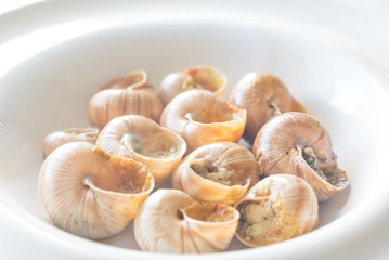 Portion of cooked snails