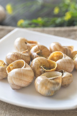 Bowl of cooked snails