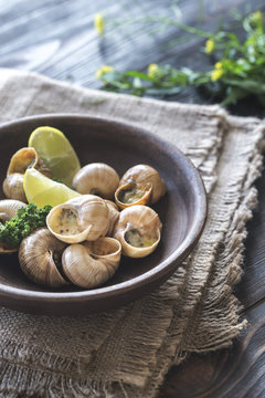 Bowl Of Cooked Snails