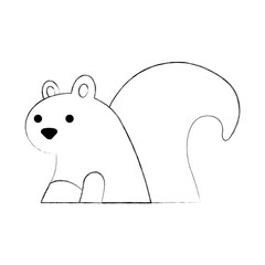autumn season squirrel animal forest vector illustration