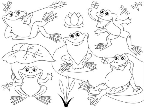 Vector Cute Cartoon Frogs