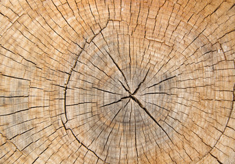 Brown Wood surface wooden cutting  scratched wooden cutting , Wood texture.