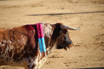 TORO CON BANDERILLAS