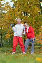 Fototapeta premium fit senior couple exercising