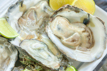 Fresh oysters