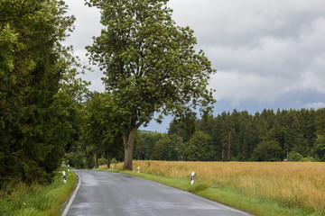 Fototapeta premium Landstraße im Harz