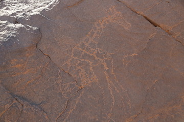 Ancient rock engraving in Sahara Desert