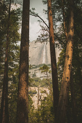 Lower Yosemite Falls - Viewpoint