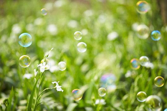 Bubbles flying in the spring field