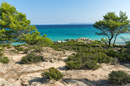 Panoramic view of Orange Beach Kavourotripes at Sithonia peninsula, Chalkidiki, Central Macedonia, Greece