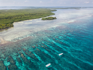 Aerial View of Reef Spur and Groove Channels in Caribbean Island