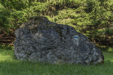 Stone near Ruzomberok town on morning meadow
