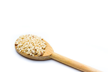 Yellow rice seeds in a wooden spoon