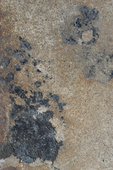 struktur und hintergrund aus stein mit körnung