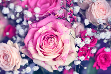Close-up floral composition with a pink roses .Many beautiful fresh pink roses . 