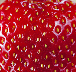 Strawberries background.