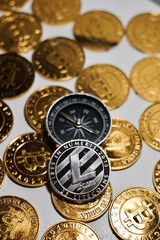Litecoin coin and compass