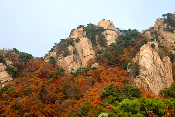 Fototapeta na wymiar Autumn mountains in South Korea