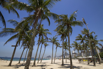 Fototapeta na wymiar Coconut trees in Copacabana Beach Rio de Janeiro Brazil