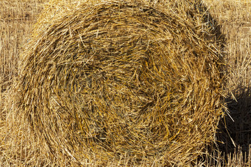 Photo closeup straw stack