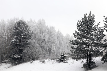 Winter season. Photo