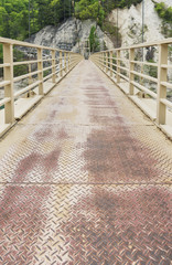 Suspension bridge in Tateyama Kurobe Alpine Route in Japan