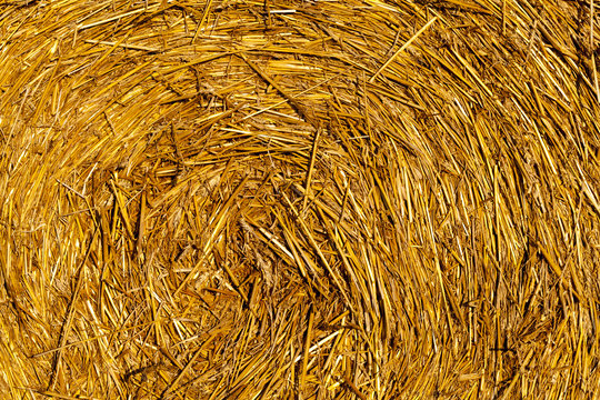 Harvest of straw