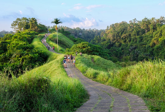 Campuhan Ridge Walk at Sunset , Scenic Green Valley in Ubud Bali
