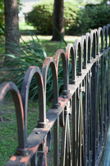 Old Fence