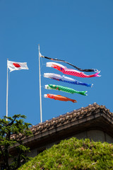 Japanese koinobori flags for Children's day on blue sky background