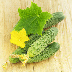 cucumbers on a wooden table