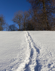 Snow drifts in winter