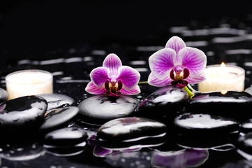 Fototapeta na wymiar still life with two orchid and two candle on black stones 