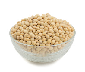 Soya Bean