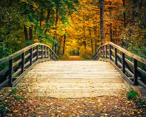 Fototapeten Holzbrücke im Herbstwald © sborisov