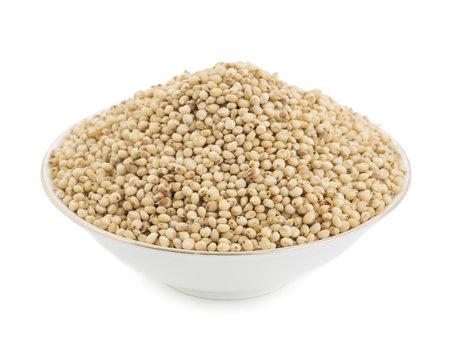 Sorgum seeds