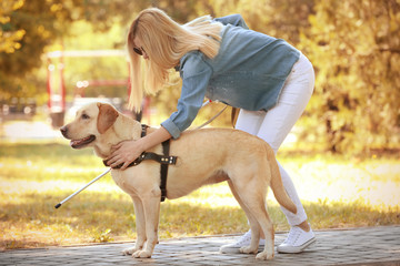 Guide dog helping blind woman in park