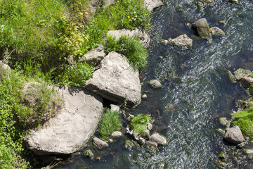 water of a small river.