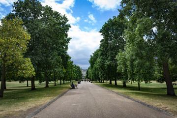 Fototapeta na wymiar Beautiful view of the famous row of trees in Hyde Park in Kensington during the summer in a clear day.