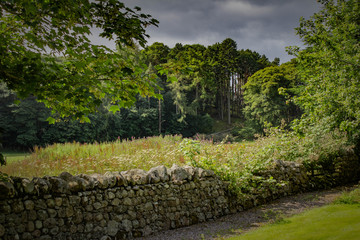Stunning view of an old stone wall with a field wildflowers cascading over it and a Forrest in the background in a cloudy day in Inverness Scotland.