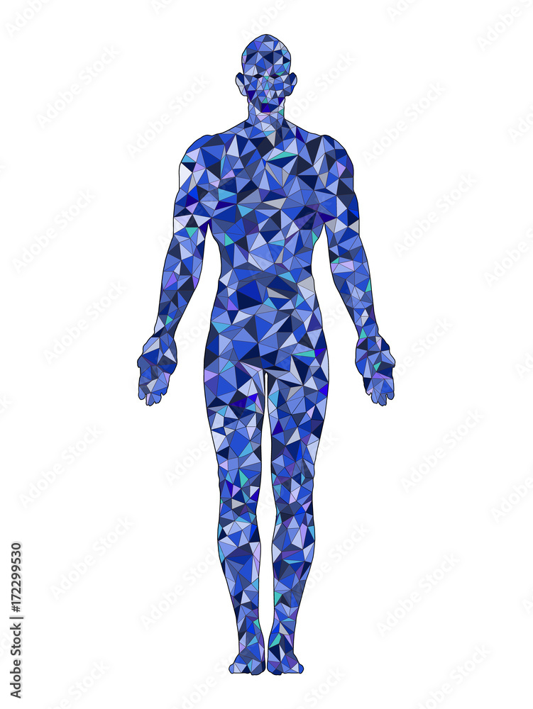 Wall mural blue standing man, full length. polygonal vector illustration.