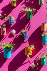 FUNCHAL, MADEIRA, PORTUGAL - SEPTEMBER 7, 2017: facade adorned with plants in cans