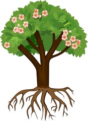 Naklejka premium Tree with pink flowers and green leaves on white background