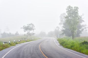 asphalt road and fog