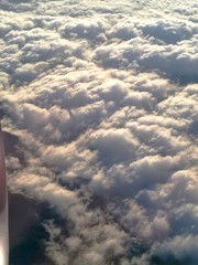 aeroplane view from window